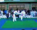 taekwondo Opava 17.02.2007 - Judo Dolní Kounice